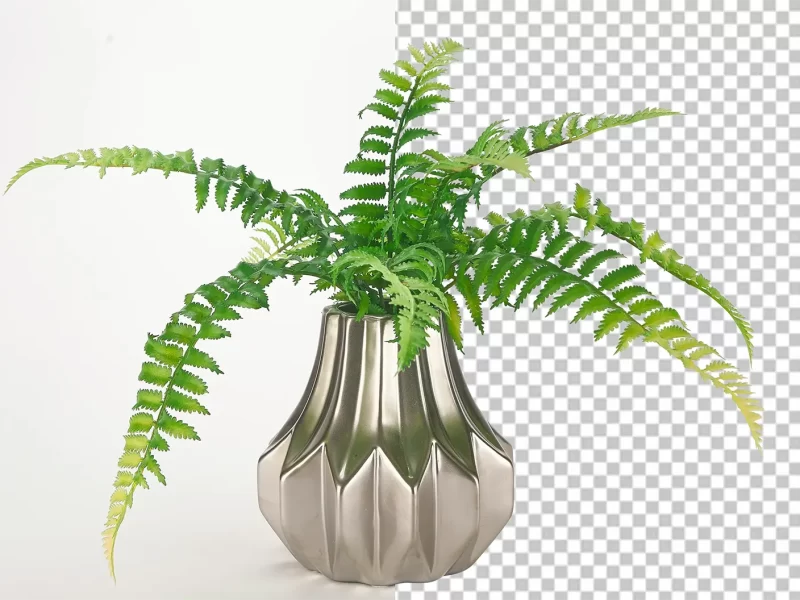 background-removing-services